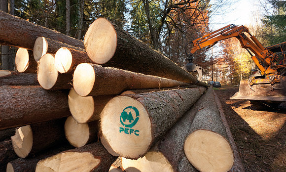 Fertighaus PEFC zertifiziertes Holz