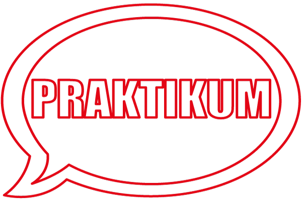 Icon Praktikum
