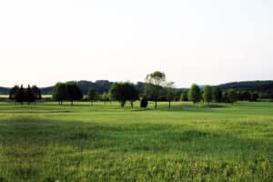 Leeres Grundstück in Ortsrandlage