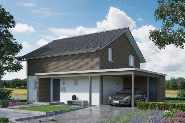 Aktionshaus-E15-143-36-Satteldach