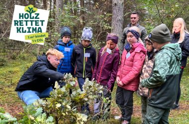 News zum Walderlebnistag im Azubiwald