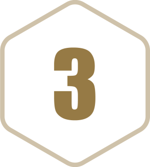 icon-braun-3